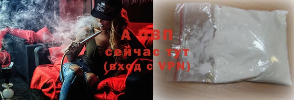 ПСИЛОЦИБИНОВЫЕ ГРИБЫ Няндома