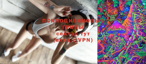 ПСИЛОЦИБИНОВЫЕ ГРИБЫ Няндома