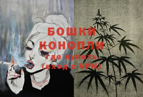 ПСИЛОЦИБИНОВЫЕ ГРИБЫ Няндома