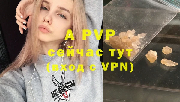 ПСИЛОЦИБИНОВЫЕ ГРИБЫ Няндома
