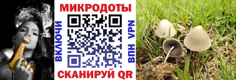 Галлюциногенные грибы прущие грибы  Артёмовск 